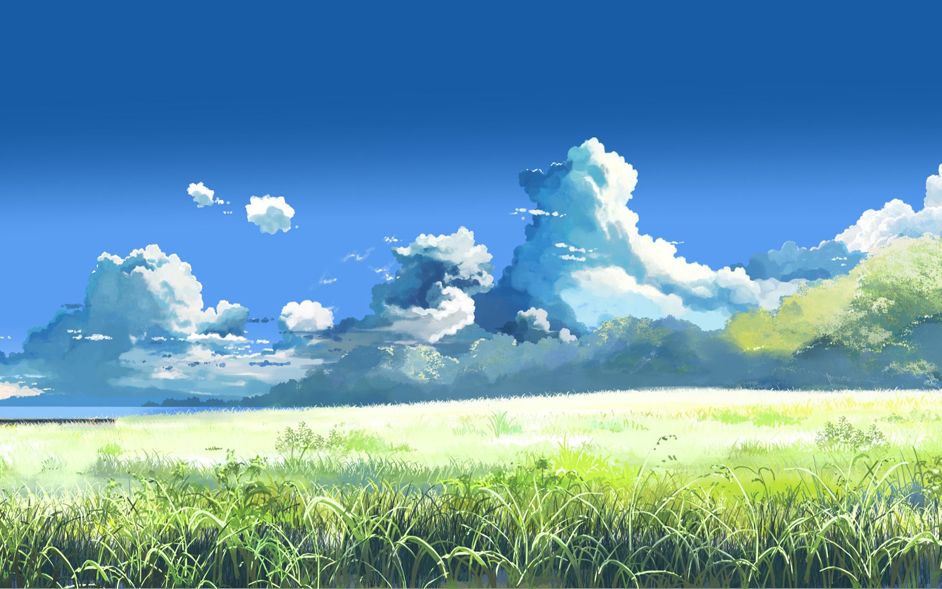 makoto shinkai in the clouds summer