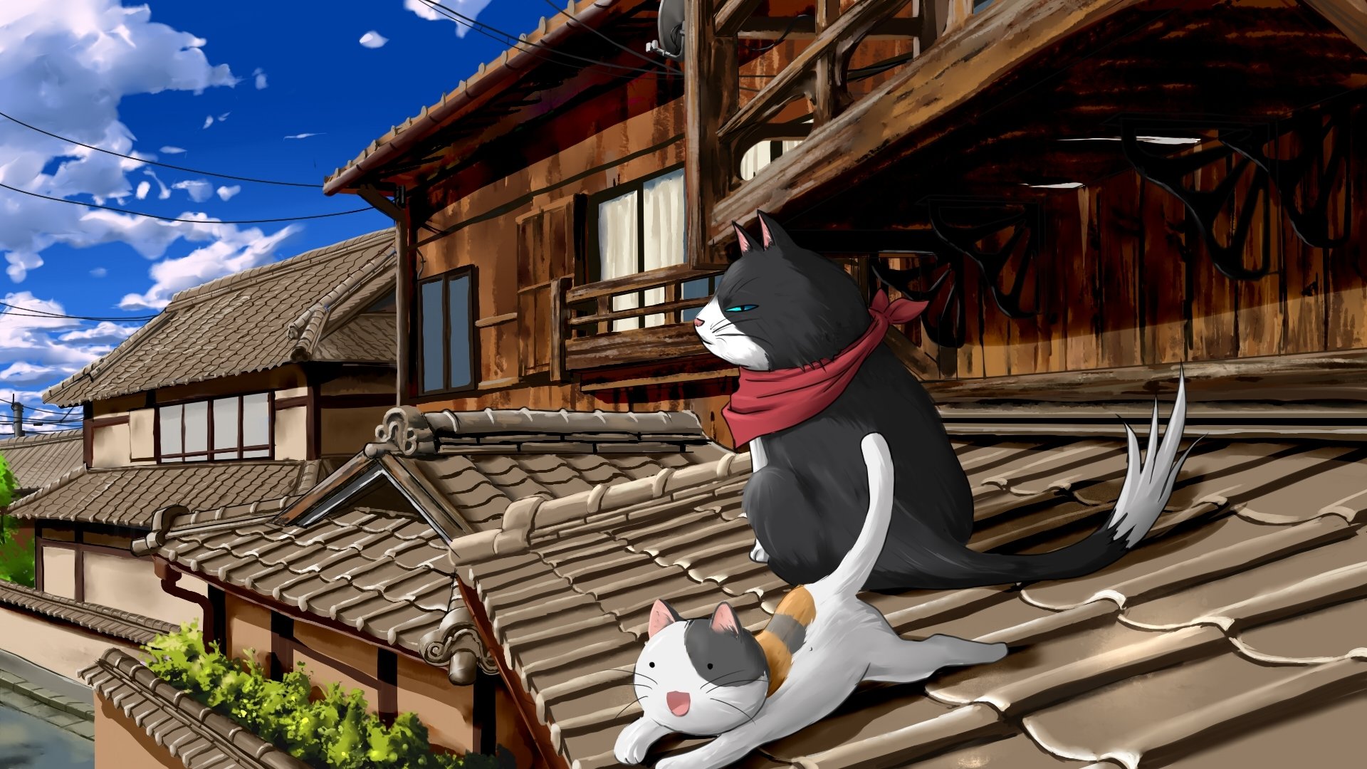 nyan koi cats roof