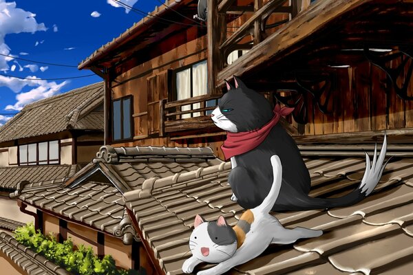 Cute cats are sitting on the roof