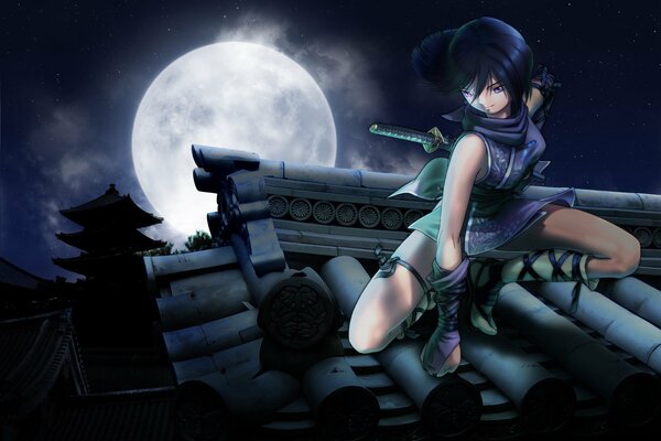 Cartoon girl on the roof by moonlight