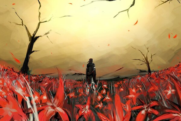 A field of red flowers in which the silhouette of a person is visible