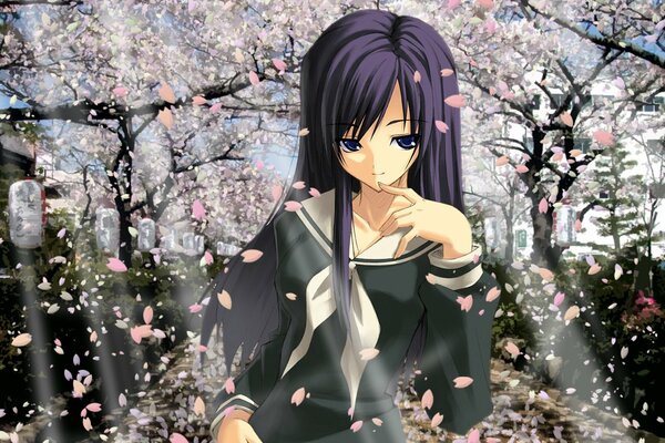 Anime girl in the cherry blossom garden