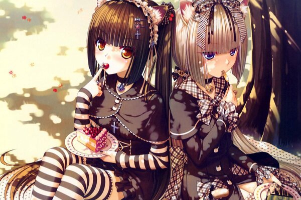 Two girls Neko on a picnic