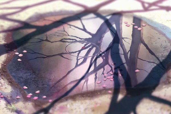 Reflejo en el agua de las hojas de Sakura