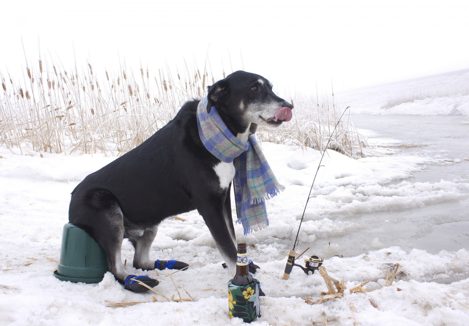 winter fishing fishing rods a bottle snow scarf a fisherman reed