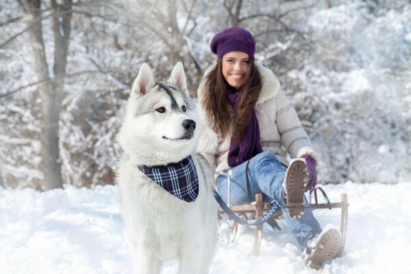 Ragazza sulla slitta accanto al cane