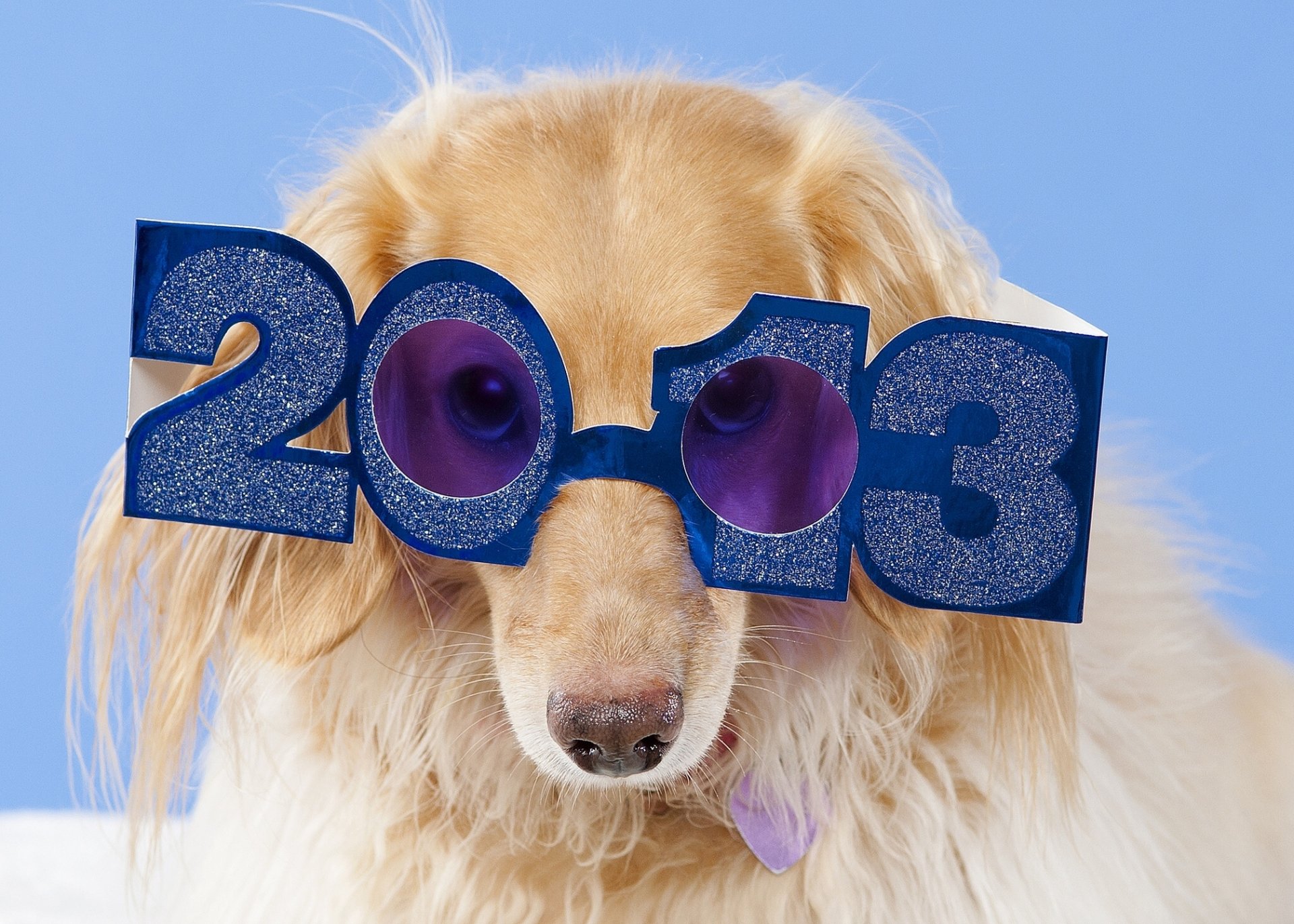 такса очки 2013