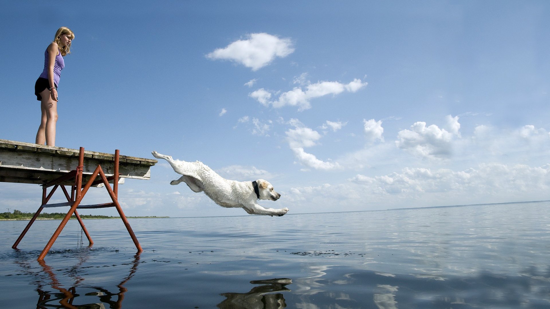 mädchen pier wasser sprung weiß horizont himmel