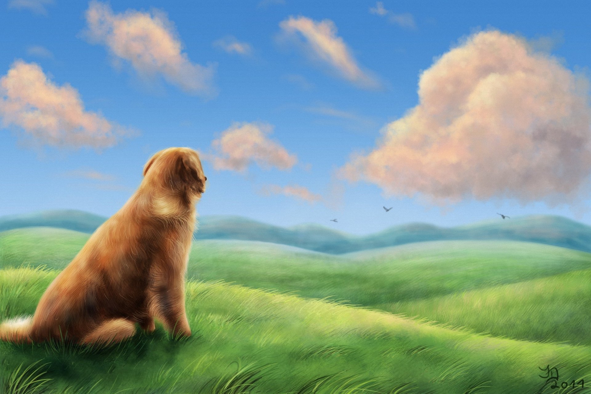 arte perro hierba campo colinas aves viento nubes