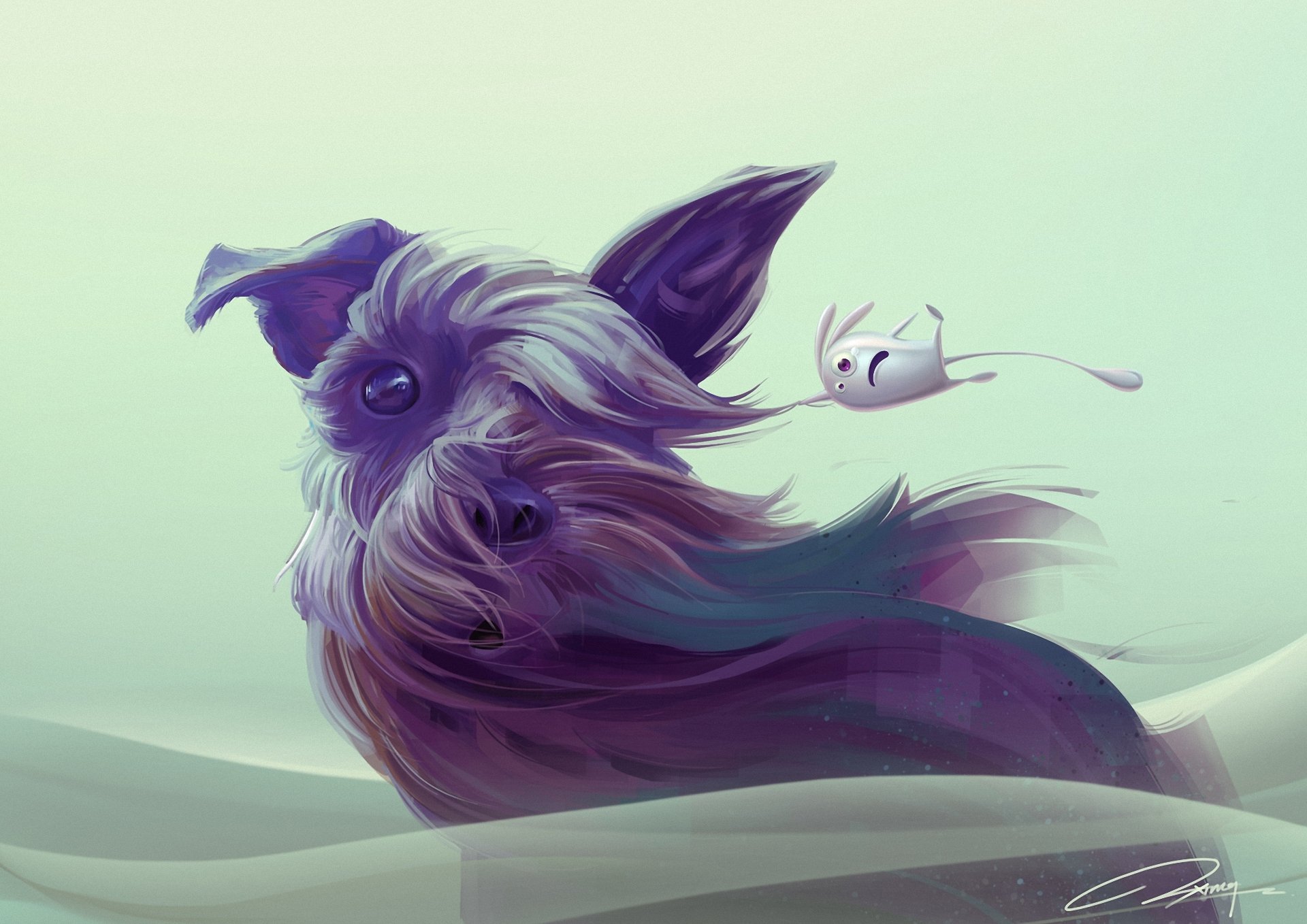 art dog animal wind