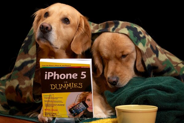 Funny friends reading a book