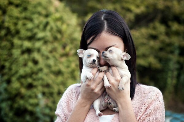 Two puppies and a girl. Face