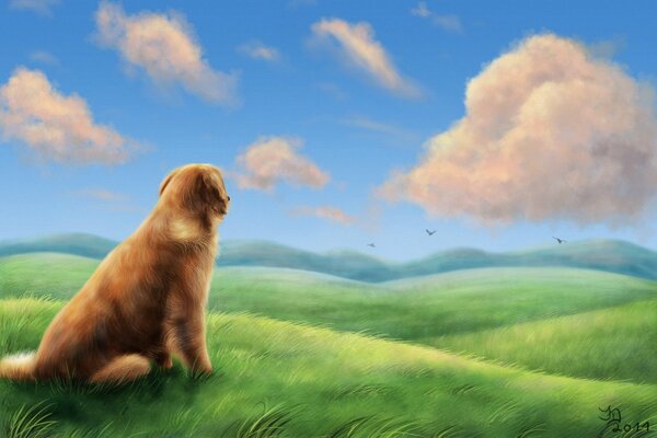 Zeichnung eines Hundes in einem Feld, das in die Ferne schaut