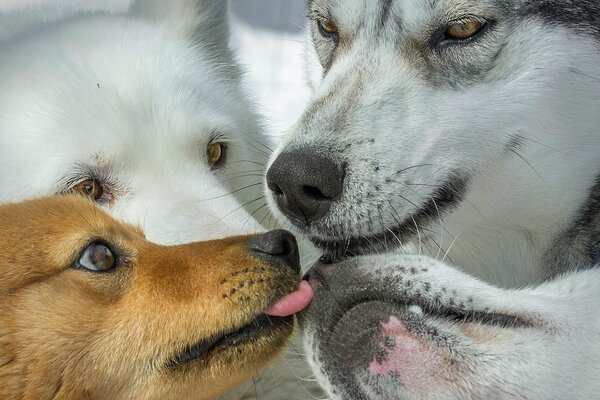 Friends are waiting for the long-awaited spring