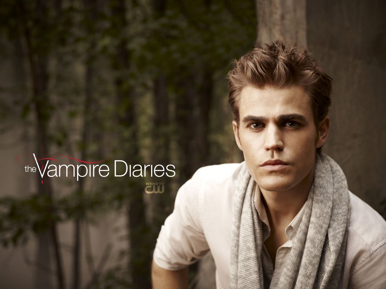 the vampire diaries stefan salvator serie de televisión 2010