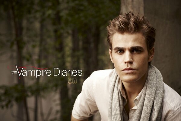 The Vampire Diaries, de Stefan Salvator en la serie de televisión 2010