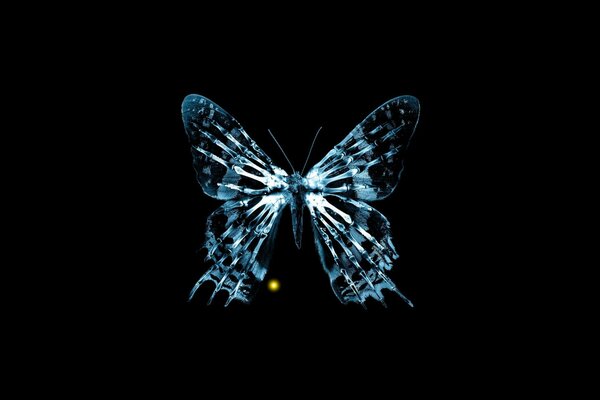 Рентген бабочки с бахромой за гранью