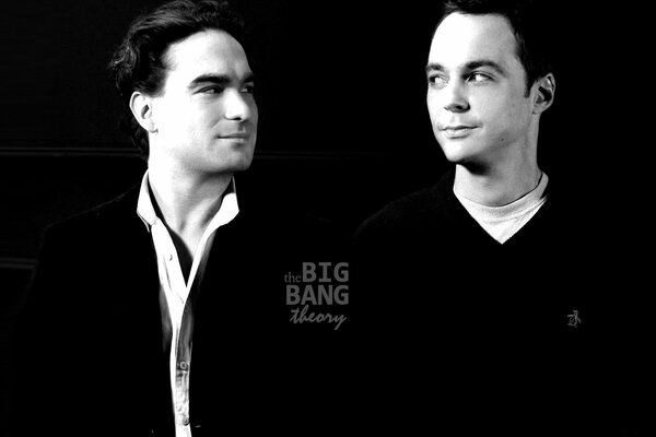 Actors of the TV series the big bang theory