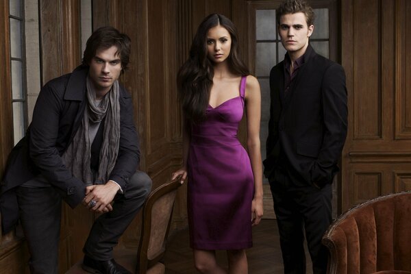 Heroes of the Vampire Diaries series