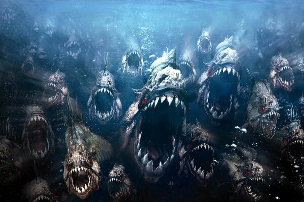 Un troupeau de piranhas s élève des profondeurs