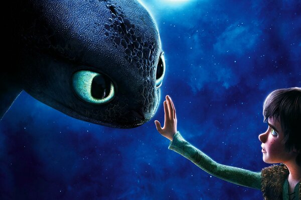 Cartoon how to train a dragon. Vikking touches Toothless