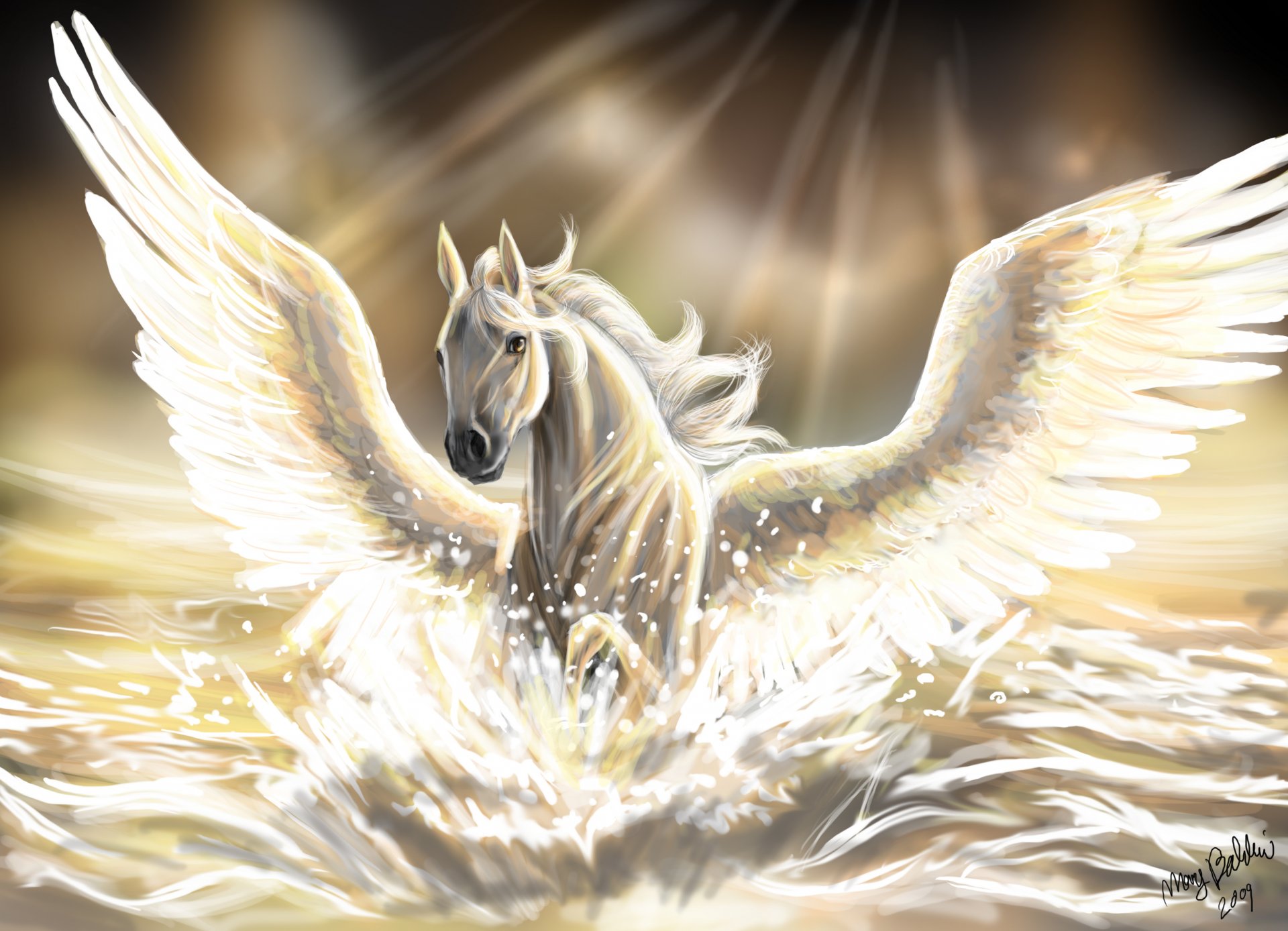 art horse pegasus wings mane water sea jumps sun ray