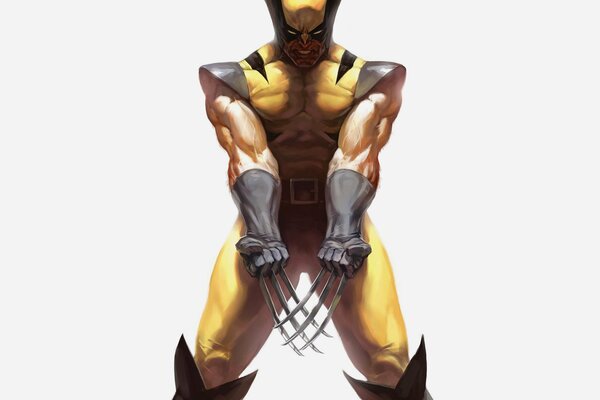 Geschirr Wolverine x-Men