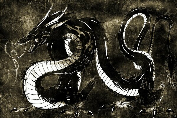 Black and white Chinese Dragon