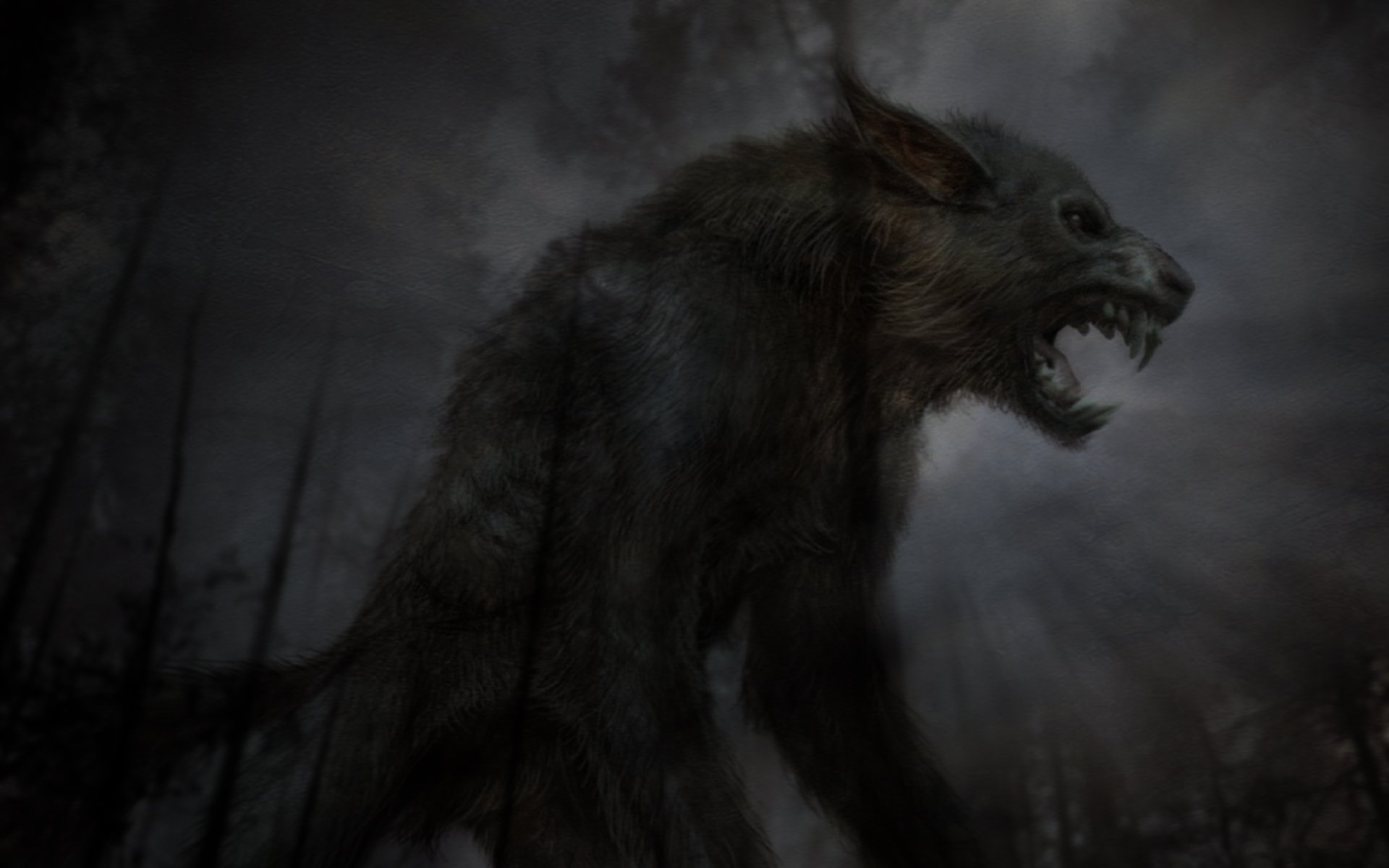 lycanthrope nuit forêt crépuscule