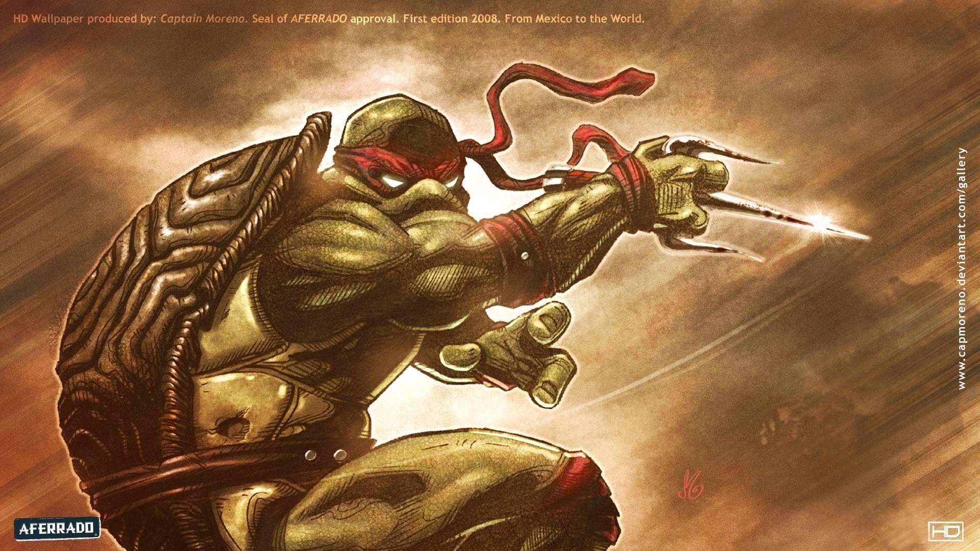 raphael tmnt fury turtle