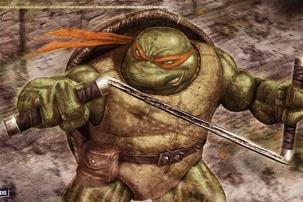 Una tartaruga ninja di nome Michelangelo