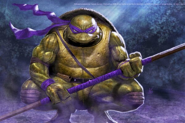 Fearless ninja turtle donatello