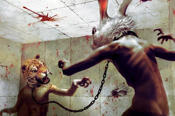 Wallpaper a fight between a tiger and a hare