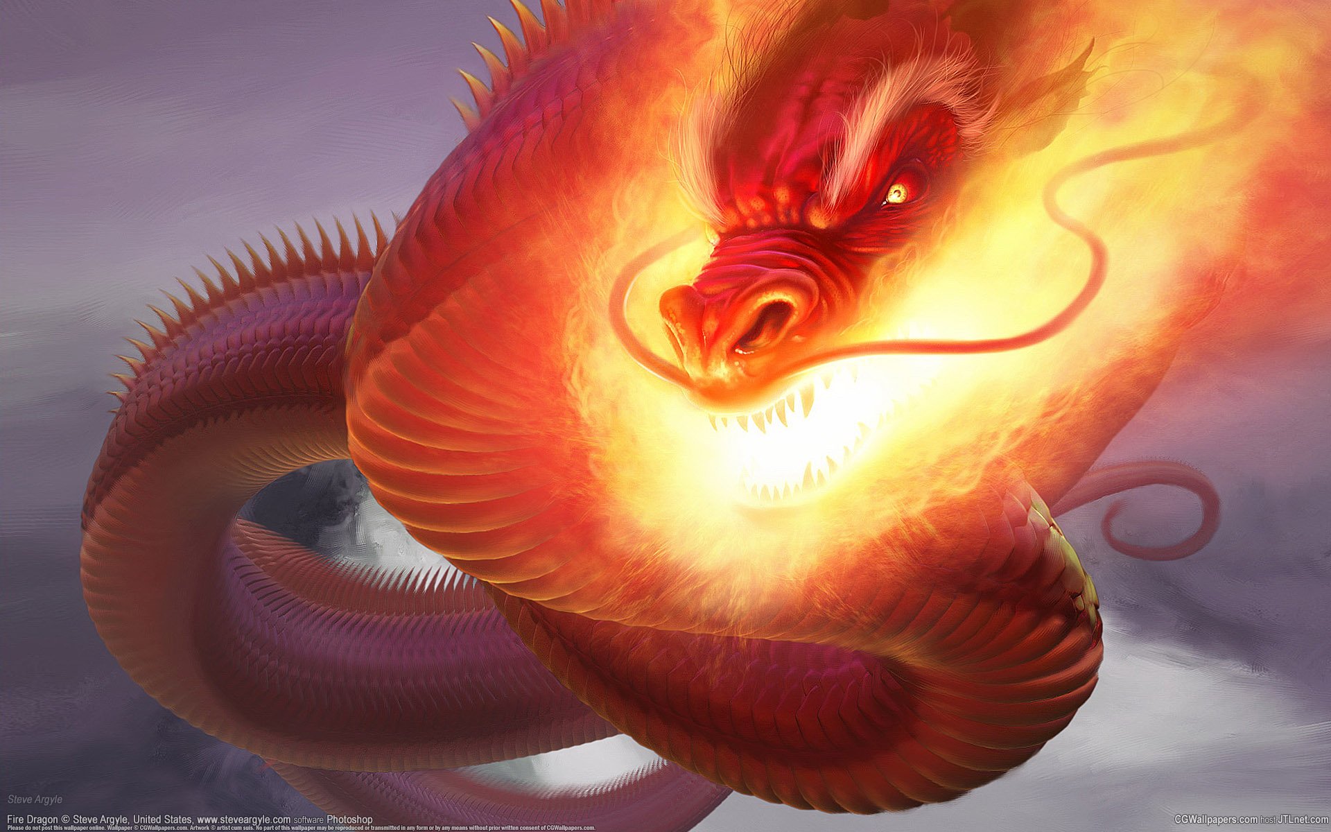 fire dragon dragon fire snake steve argyle cg wallpaper