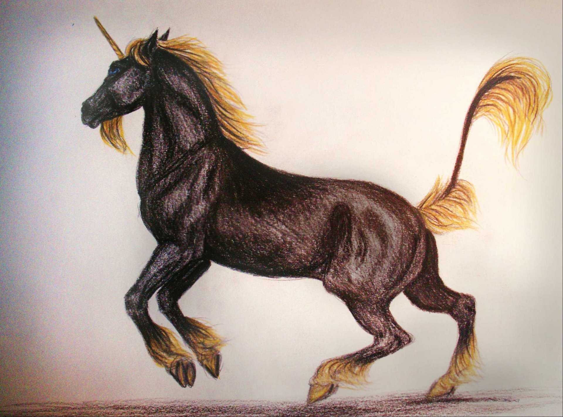 licorne cheval dessin