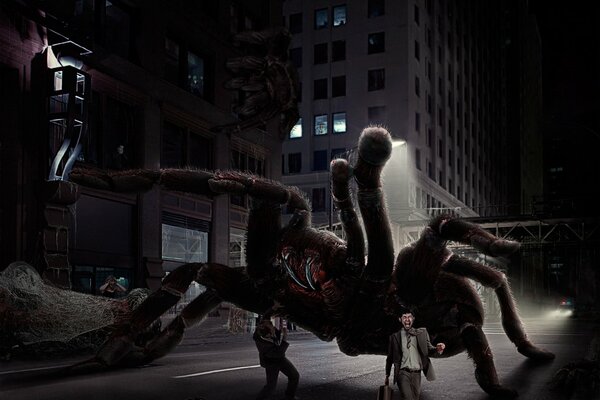 The night spider. Monster in the city