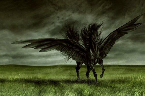 Art drawing of a black horse with wings on a cloudy sky background