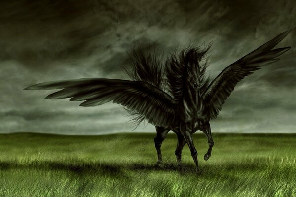 Arte disegno di un cavallo nero con le ali su uno sfondo di cielo coperto