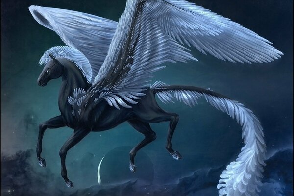 Pegasus is a fantasy in the mountains