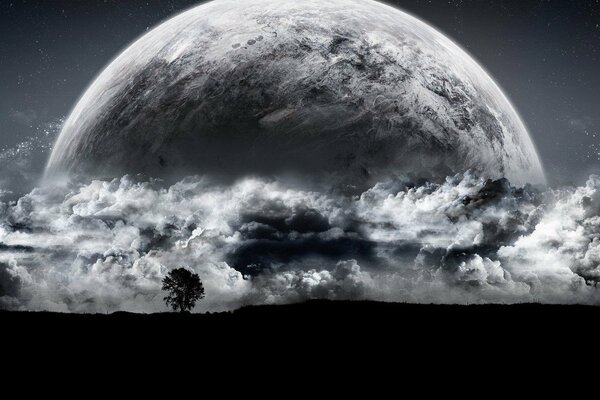 Image en noir et blanc d un arbre sur un fond de planète