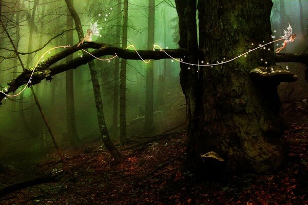 Jeunes elfes volent autour de l arbre