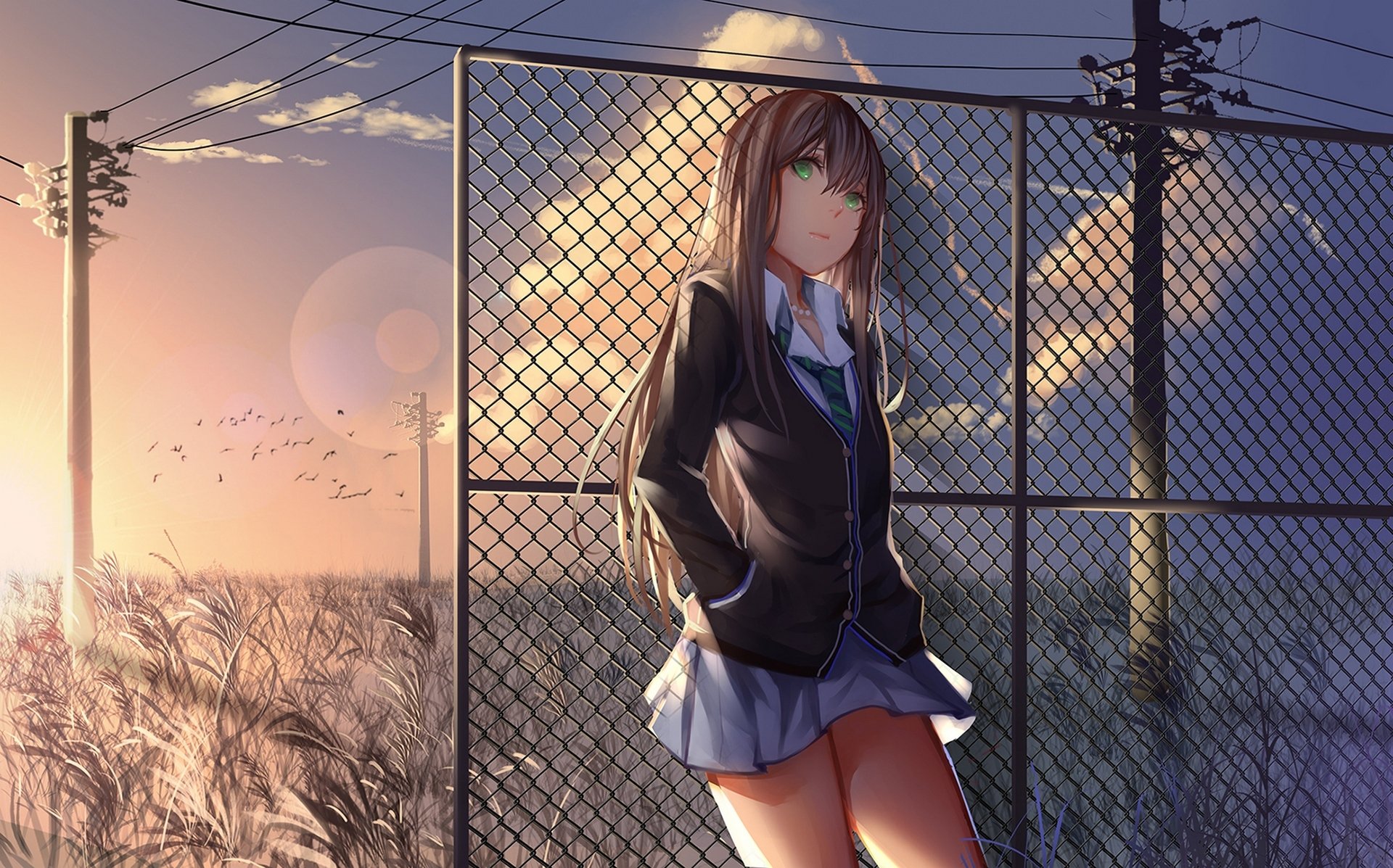 kunst kote-sensei anime idolmaster shibuya rin mädchen schulmädchen sonnenuntergang vögel säulen drähte himmel wolken