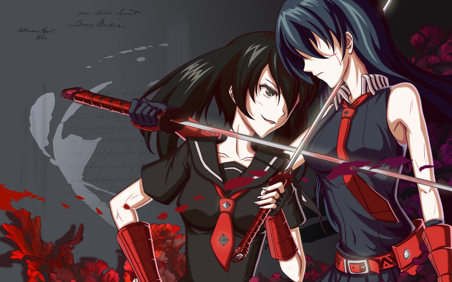 akame ga kill killer akama kurome akame girls katana