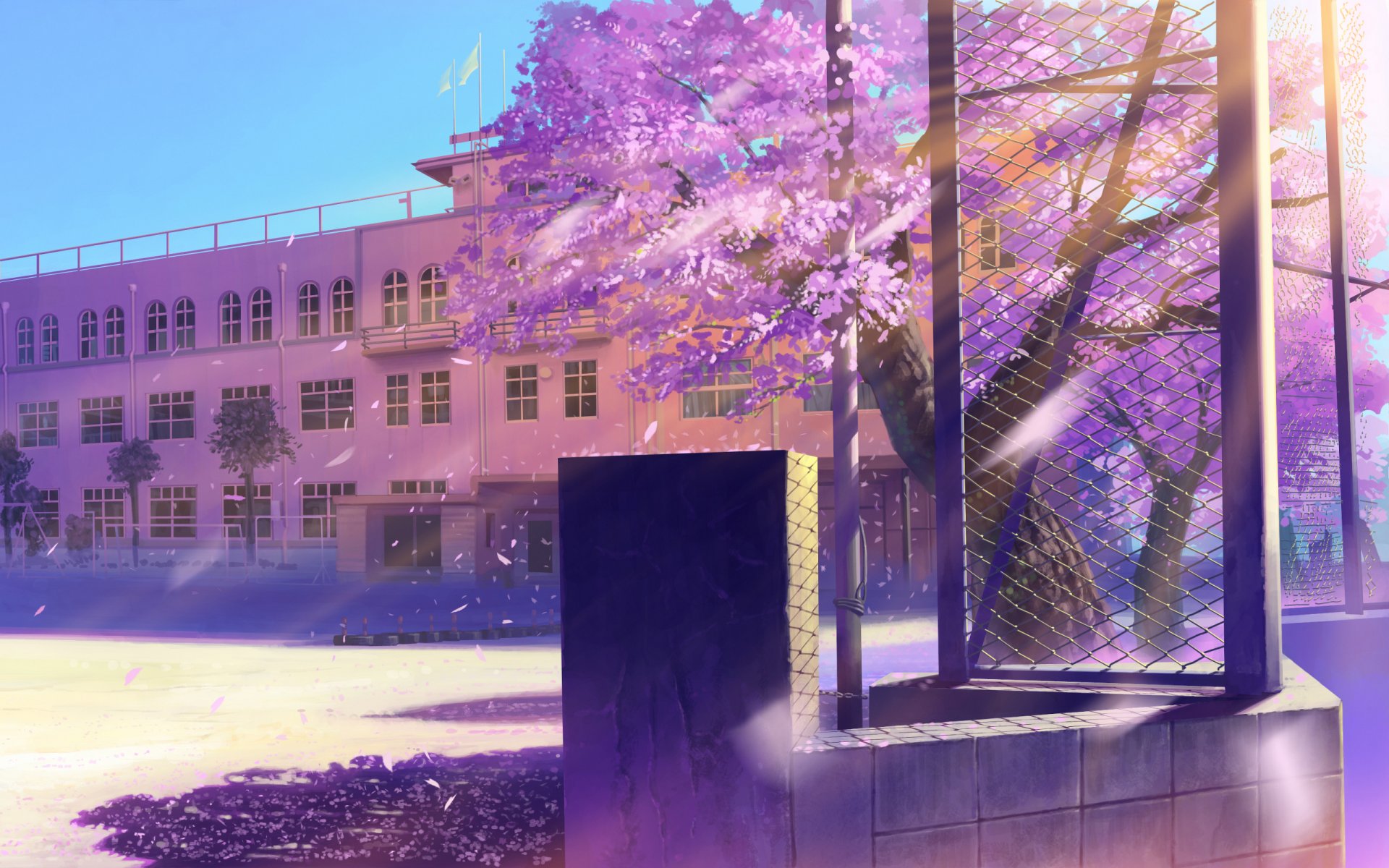 landschaft gebäude schule sakura blumen netz blütenblätter blendung kunst