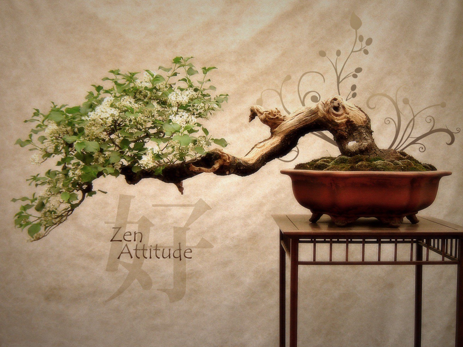 bonsai giappone albero fiori