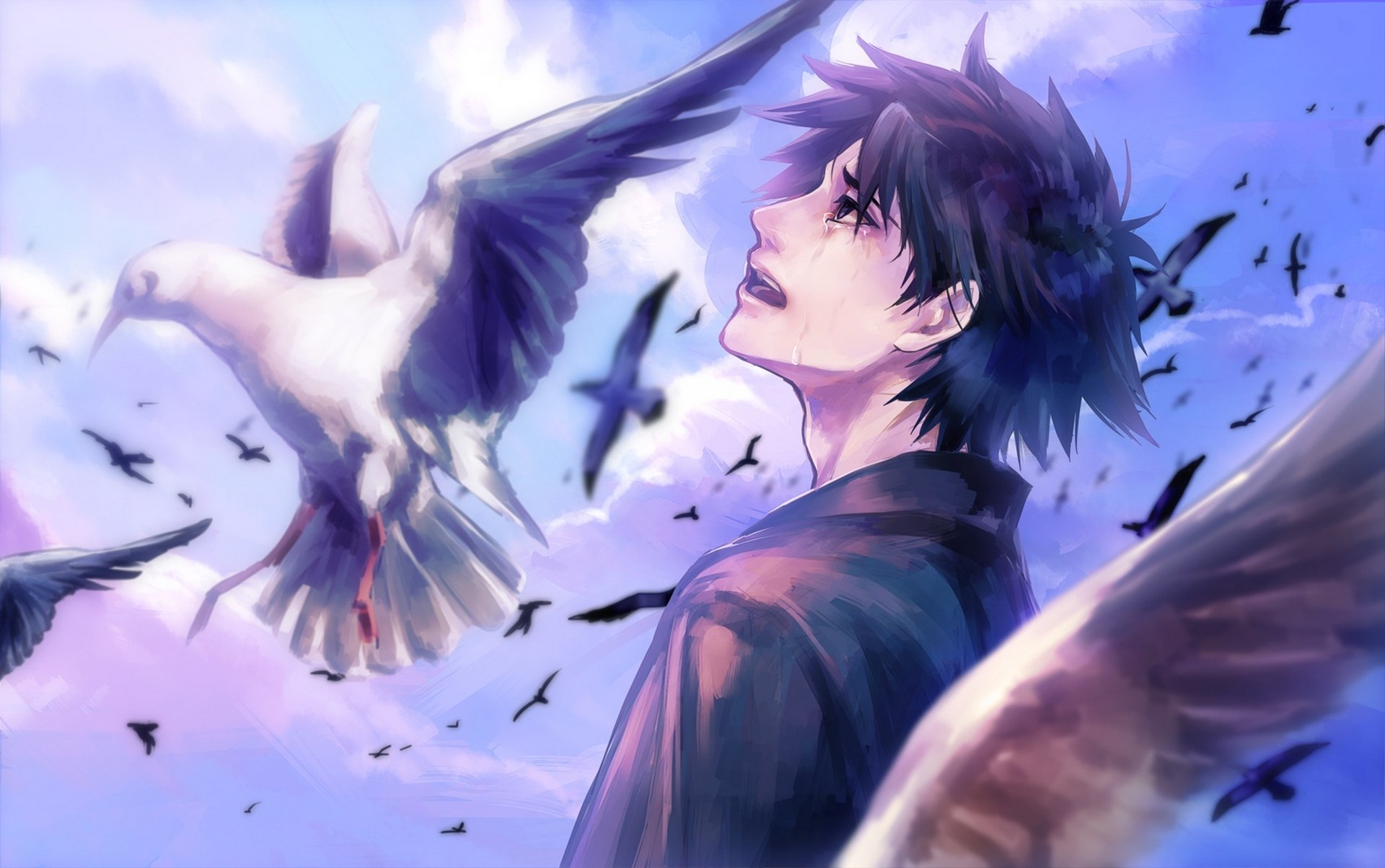 art tamachi kuwa anime fate stay night fate zero emiya kiritsugu guy oiseaux larmes ciel nuages