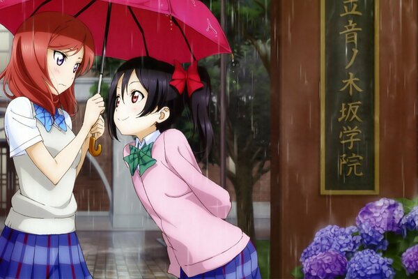 Anime Living Love school idols Maki Nishikino and Niko Yazawa. Love live Maki Nishikino, Niko Yazawa. Maki and Niko from Love Liv in the rain. Anime schoolgirls, school idol project.