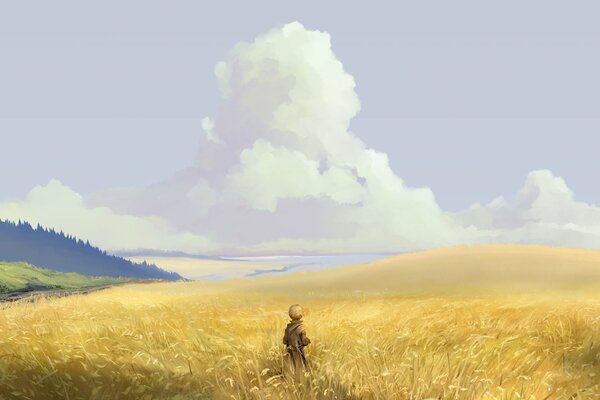 A guy in a huge wheat field