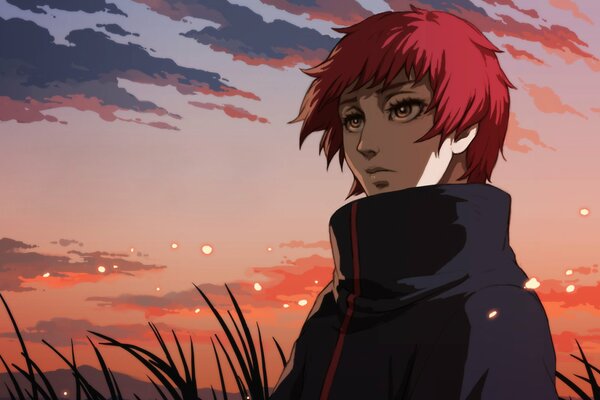 Anime hero in the sunset