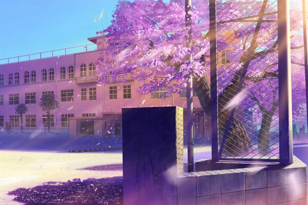 Bâtiment de l école dans l éblouissement du soleil près de Sakura